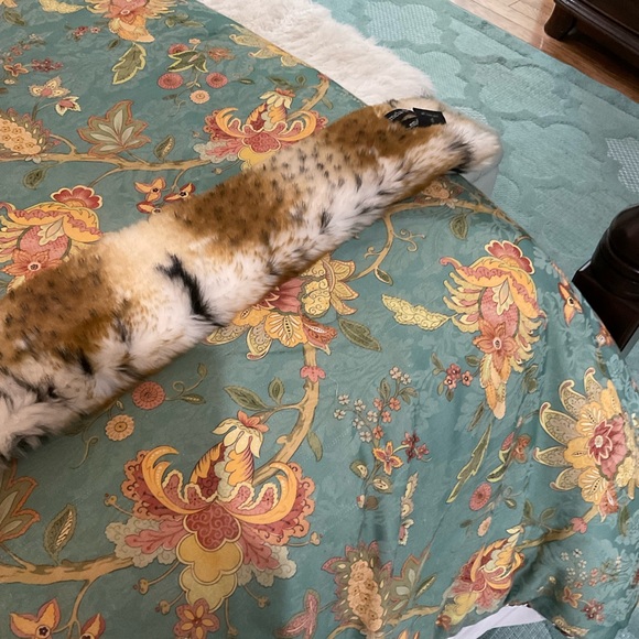 Pamela McCoy Fur wrap only…..sweater coat not included - Picture 4 of 6